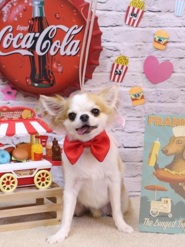 20230905くうくん